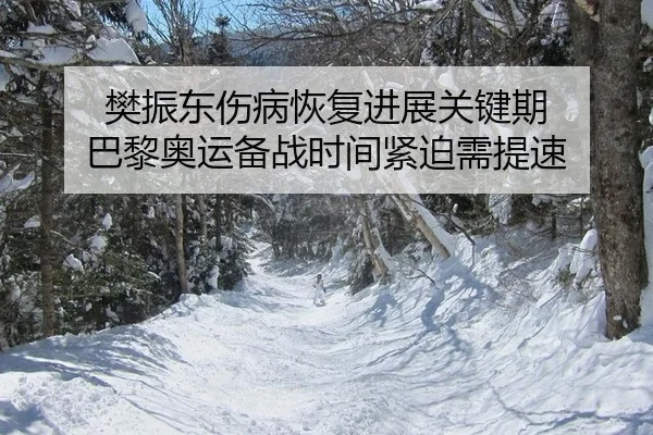 樊振东伤病恢复进展关键期 巴黎奥运备战时间紧迫需提速